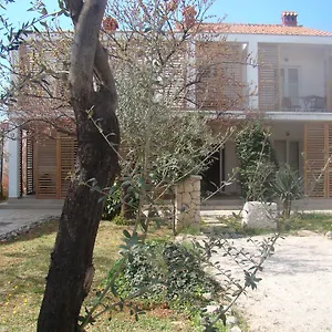 Lipa , Zadar Croatia
